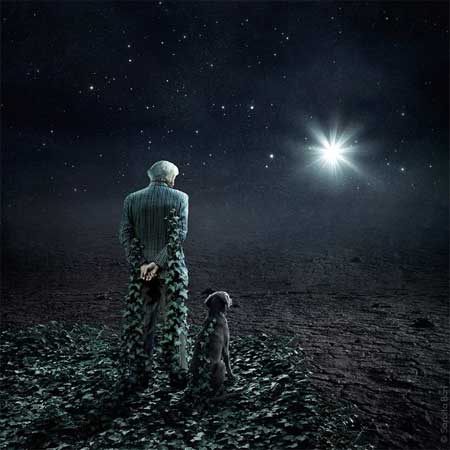 Человек с собакой смотрят на звезду